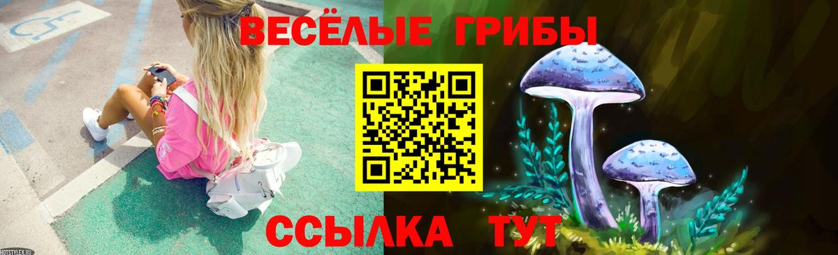 Галлюциногенные грибы Psilocybe  Вход с VPN  Можайск 